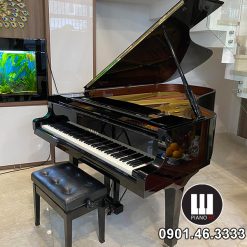 Grand Piano Yamaha C7 - HT 2021 -03