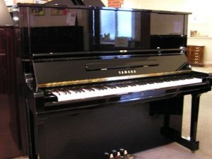 địa chỉ bán đàn piano giá rẻ tại tphcm