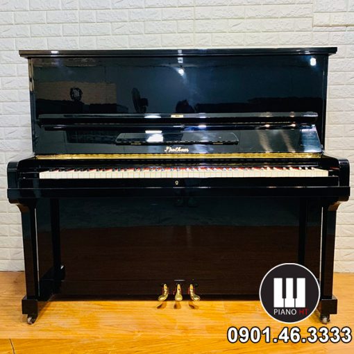 Pruthner Piano Piano HT 03