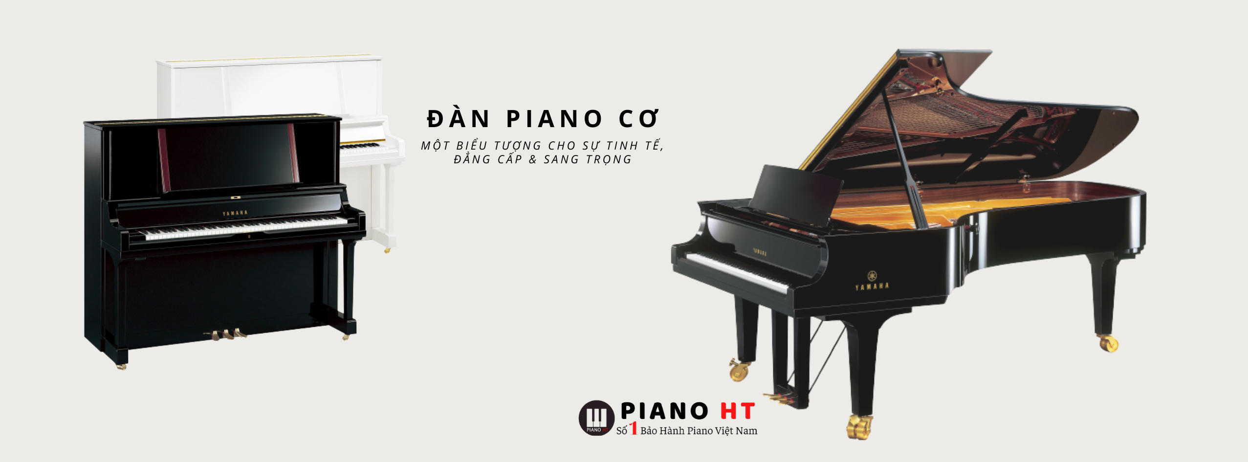 banner piano ht new 2022