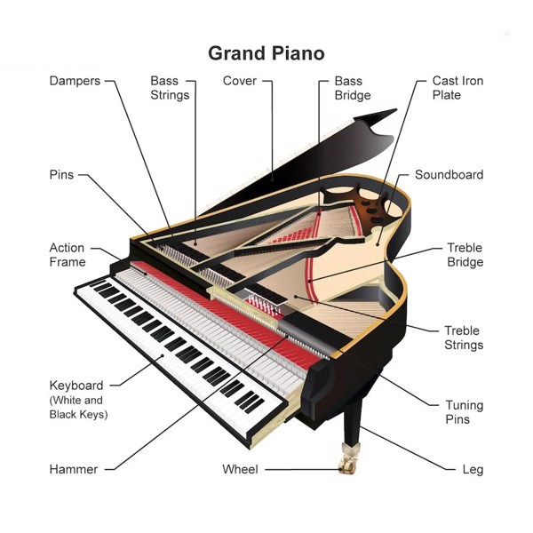 Grand Piano là gì