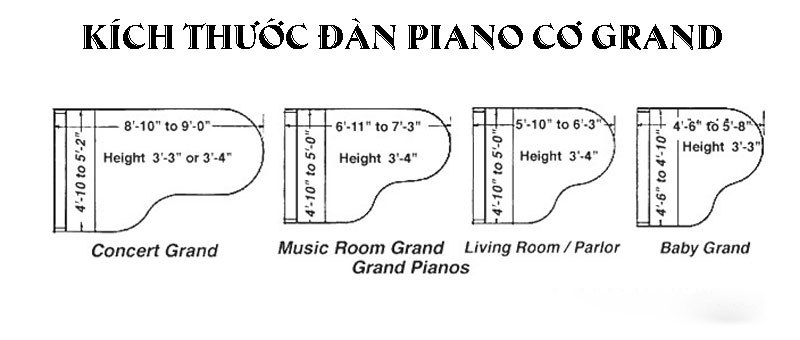 Grand piano cao cấp