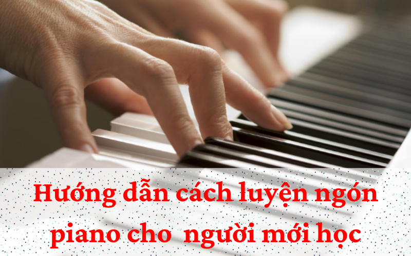 luyện ngón piano cho người mới bắt đầu