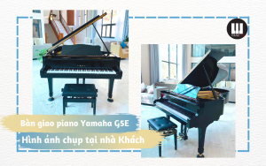 Bàn giao grand piano Yamaha G5E