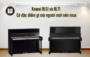 Kawai BL51 hay BL71