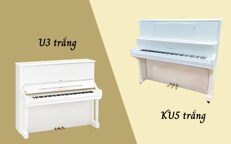 Kawai KU5 trắng hay Yamaha U3 trắng