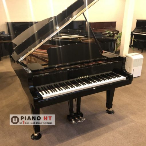 Grand Piano Yamaha C3LA 10 (6)