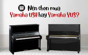Yamaha YU3 hay Yamaha U3H