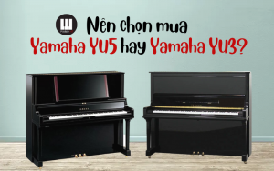Yamaha YU3 hay Yamaha YU5