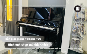 bàn giao đàn piano Yu5