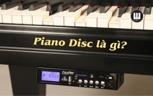 Piano Disc là gì