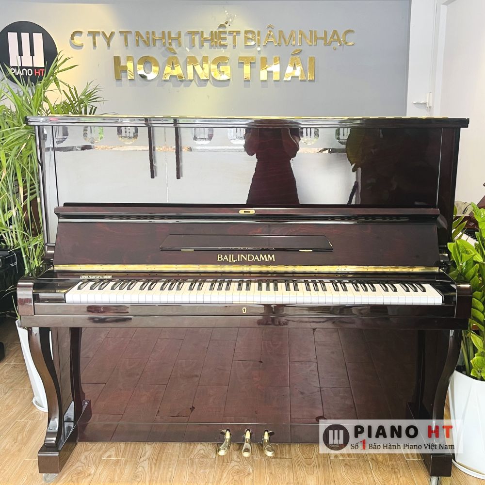 Piano Ballindamm B133