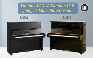 Yamaha U2G và Yamaha U2H