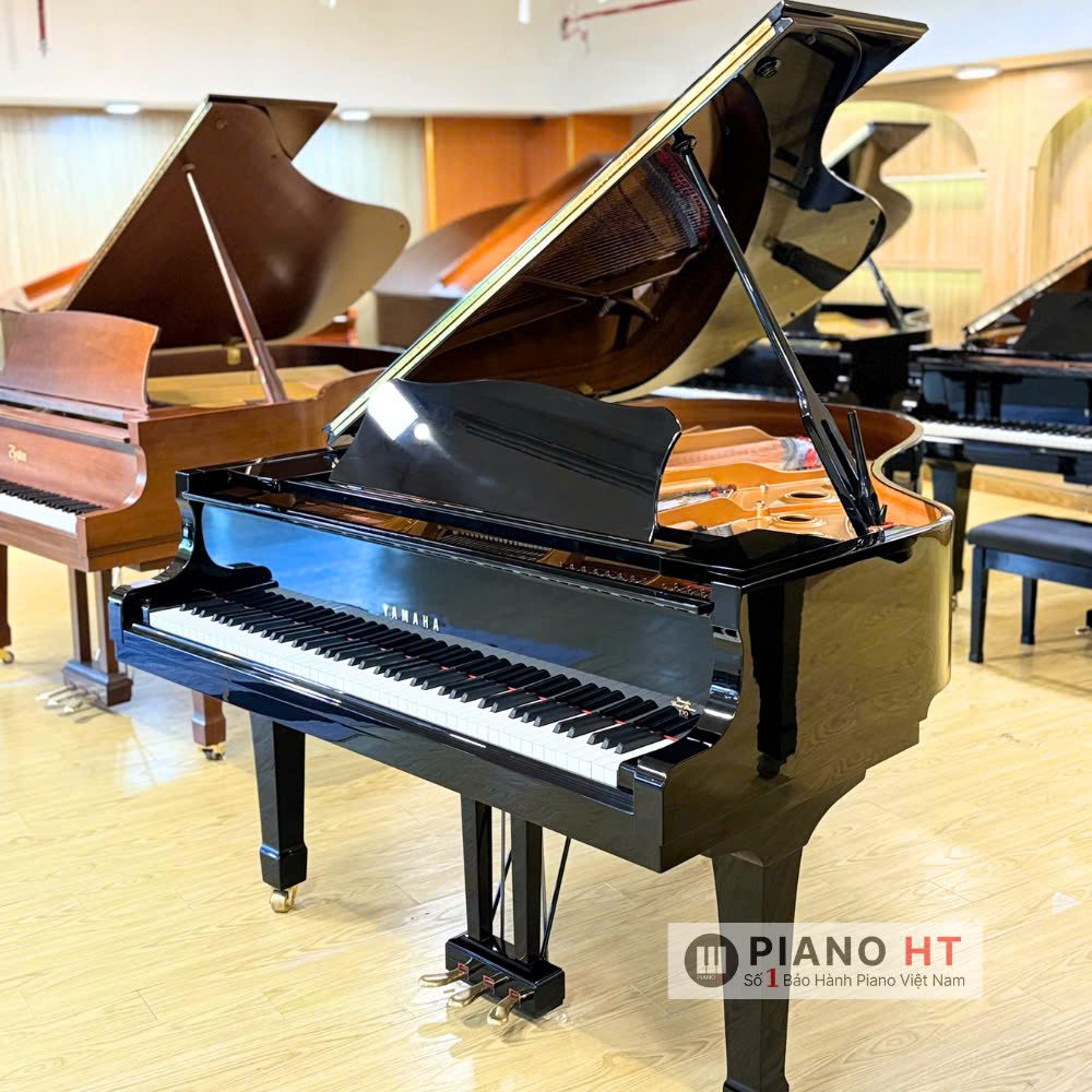 Grand Piano Yamaha C3AE 03