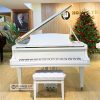 Grand Piano Kawai KG2C